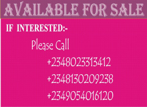 364d3-advert